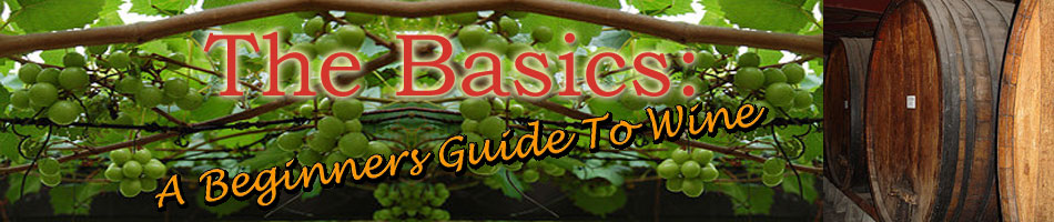 Basics: A Beginner's Guide To Wine